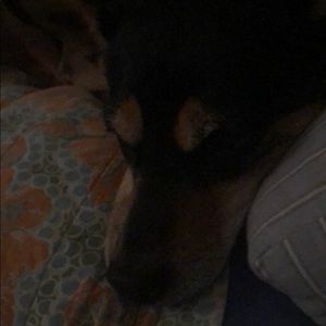 Meet your Posher, Wendy